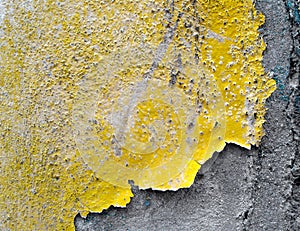 Peeling paint