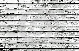 Peeling Paint Black & White