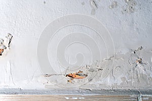 Peeling paint, indicating damp on the bathroom wall. Water Leaks