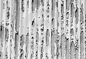 Peeling paint from metal surface