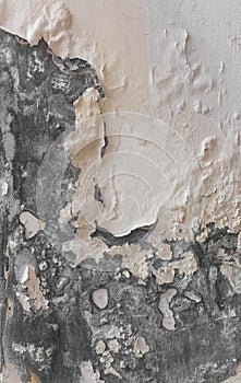 Peeling paint and moldy, indicating damp on the wall