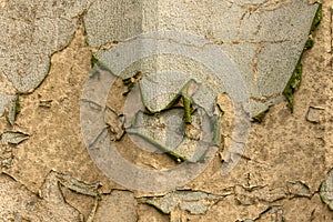 Peeling paint from wall from decades of abandonment. Abstract rough textures