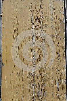 Peeling paint wood background texture