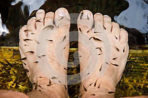 Peeling procedure in the aquarium. Spa treatment with tropical fish.