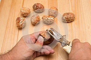 Peeling raw chestnutt fruit