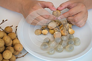 Peeling of tropical longan fruit