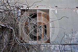 Peeling wall and broken window shutter