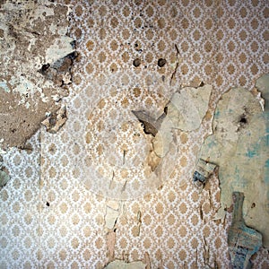 Peeling Wallpaper, Damaged Wal