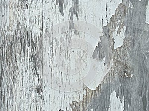 Peeling white paint flaking off old country farm barn building wall closeup