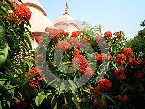 Peep of Temple head through flowers and trees.