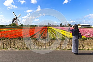 Sobre el asiático turista sobre el tulipanes 