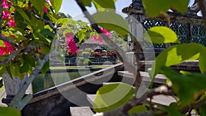 Peeping from behind a tree. First-person view. Tirta Gangga.