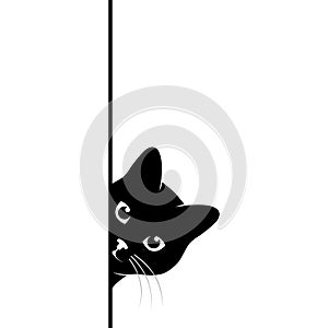 Peeping cat graphic poster