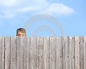Peeping tom stalking over wooden fence stalker photo
