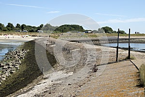 Peer, jetty at the coast of the Eastern Scheldt