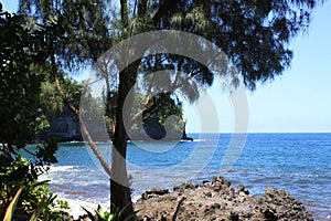 Peering through the rainforest to the Pacific Ocean at Onomea Bay, Papaikou, Hawaii