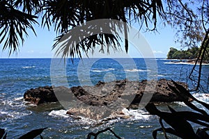 Peering through the trees to a volcanic rock shelf in the Pacific Ocean and the shoreline at Onomea Bay, Hawaii