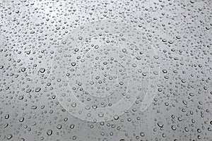 Pefect water drops in a window