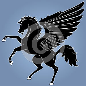 Pegasus photo