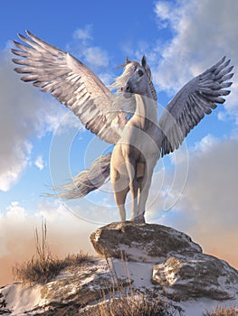 Pegasus