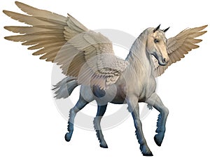 Pegasus 3D illustration