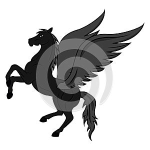 Pegasus