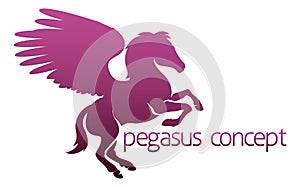 Pegasus concept photo
