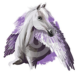 Pegasus digital art illustration isolated on white background. Legendary ancient mythological crature, fairy-tale dreamlike animal