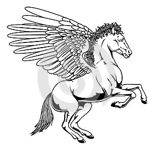 Pegasus illustration photo