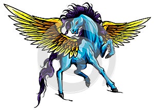 Pegasus. An illustration of the mythological horse Pegasus rearing up on its hind legs. vector