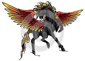Pegasus. An illustration of the mythological horse Pegasus rearing up on its hind legs. vector
