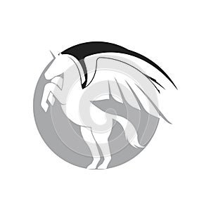 Pegasus logo vector illustration template