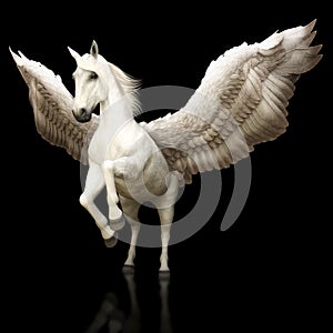 Pegasus majestic mythical Greek winged horse on a black background.
