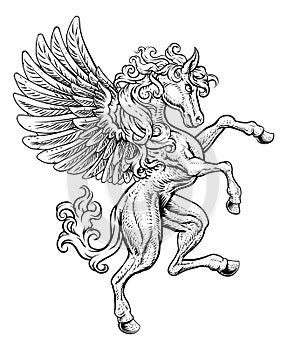 Pegasus Rearing Rampant Wings Coat Of Arms Horse