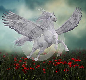 Pegasus and Red Poppies