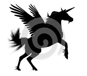 Pegasus Silhouette ~