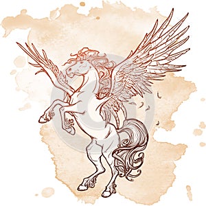 Pegasus supernatural beast. Sketch on a grunge background