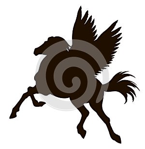 Pegasus. Vector drawing