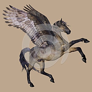 Pegasus the winged horse photo