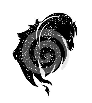 Pegasus winged horse spirit with stars in long mane black and white vector silhouette head portrait