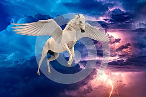 Pegasus winged legendary white horse flying with spread wings