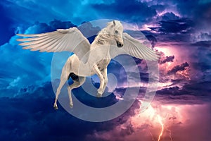 Pegasus winged legendary white horse flying with spread wings photo