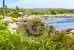 Peggy Cove preservation area