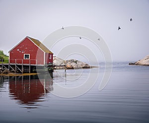 Peggy's Cove fishing village on a foggy day, flock of birds, Nova Scotia, Canada