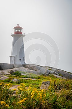 Peggy's Cove lighthouse on a foggy day with yellow flowers, Nova Scotia, Canada