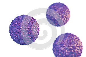 Pegivirus, or Hepatitis G virus