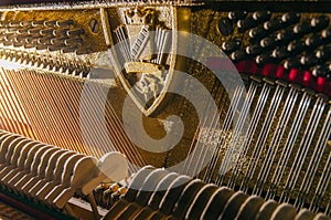 Pegs and strings of the old piano