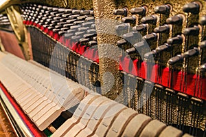 Pegs and strings of the old piano