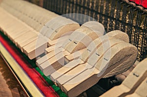 Pegs and strings of the old piano