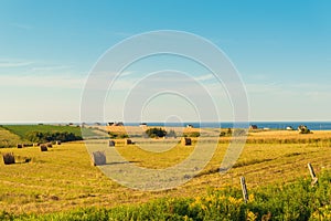 PEI rural scene